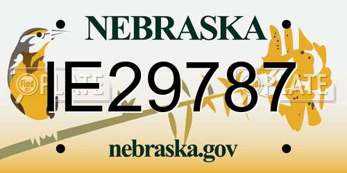 IE29787 Nebraska License Plate