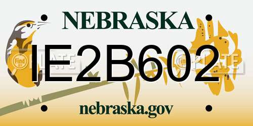 IE2B602 Nebraska License Plate