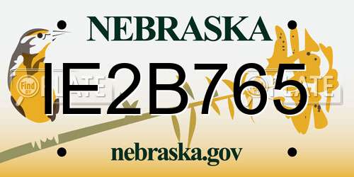IE2B765 Nebraska License Plate