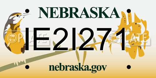 IE2I271 Nebraska License Plate