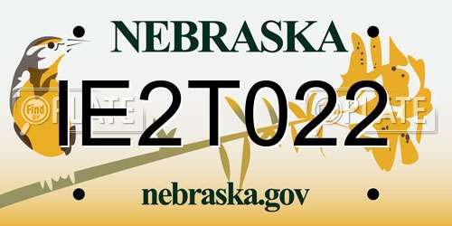IE2T022 Nebraska License Plate