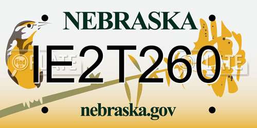 IE2T260 Nebraska License Plate