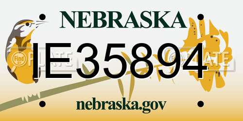 IE35894 Nebraska License Plate