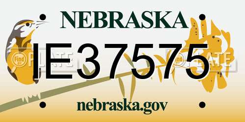 IE37575 Nebraska License Plate