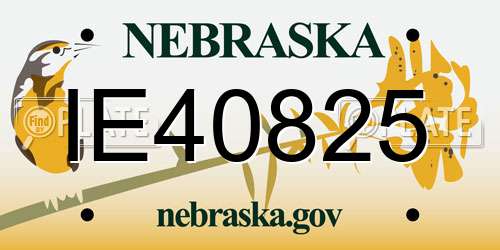 IE40825 Nebraska License Plate