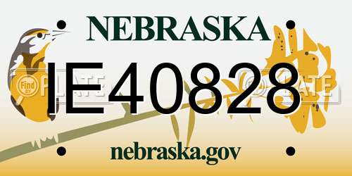 IE40828 Nebraska License Plate