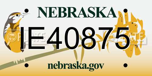 IE40875 Nebraska License Plate
