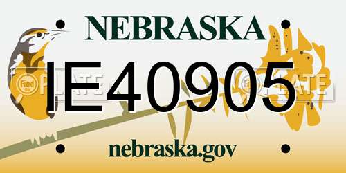IE40905 Nebraska License Plate