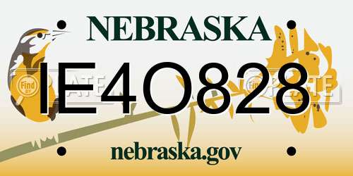 IE4O828 Nebraska License Plate