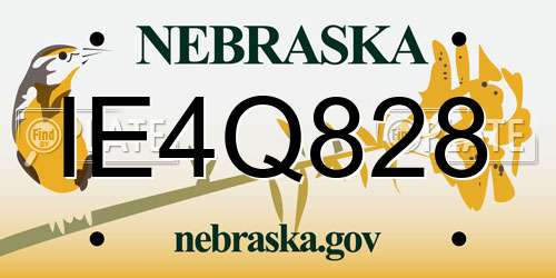 IE4Q828 Nebraska License Plate