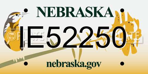 IE52250 Nebraska License Plate