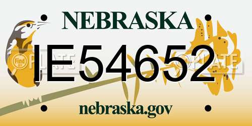 IE54652 Nebraska License Plate
