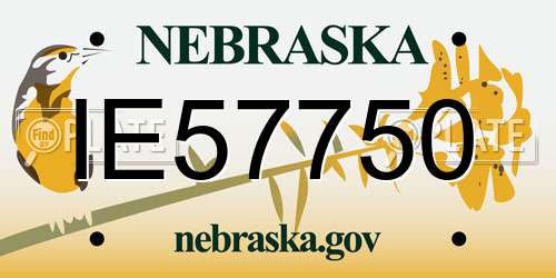 IE57750 Nebraska License Plate