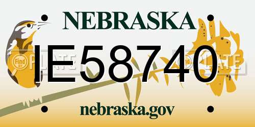 IE58740 Nebraska License Plate