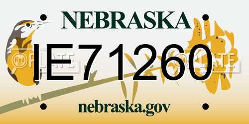 IE71260 Nebraska License Plate