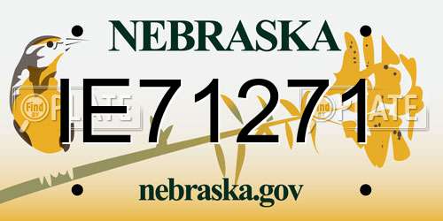 IE71271 Nebraska License Plate