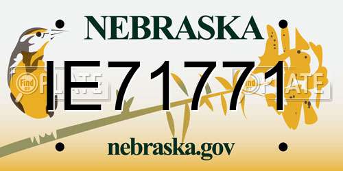 IE71771 Nebraska License Plate