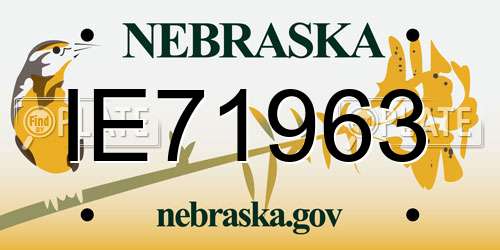 IE71963 Nebraska License Plate