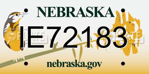 IE72183 Nebraska License Plate