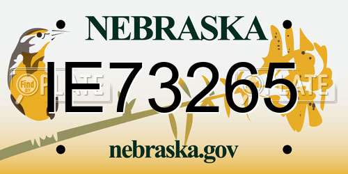 IE73265 Nebraska License Plate