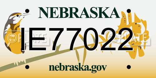 IE77022 Nebraska License Plate