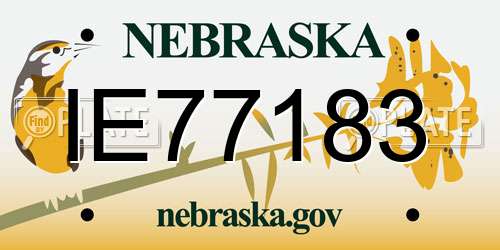 IE77183 Nebraska License Plate