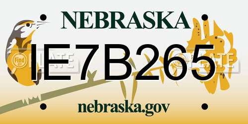 IE7B265 Nebraska License Plate