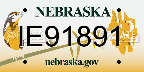 IE91891 Nebraska License Plate