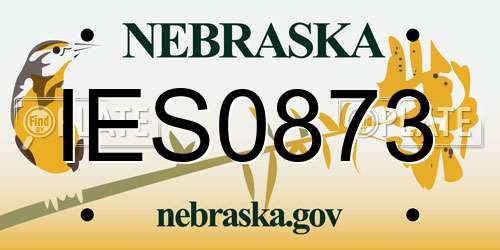 IES0873 Nebraska License Plate