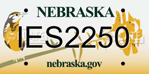 IES2250 Nebraska License Plate