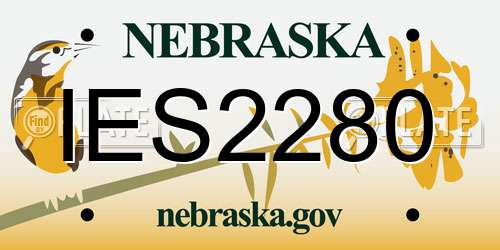 IES2280 Nebraska License Plate