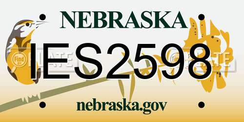 IES2598 Nebraska License Plate