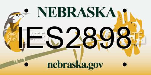 IES2898 Nebraska License Plate