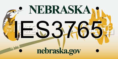 IES3765 Nebraska License Plate