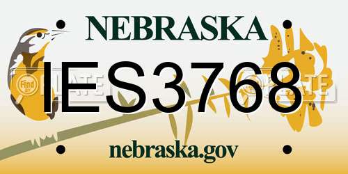 IES3768 Nebraska License Plate