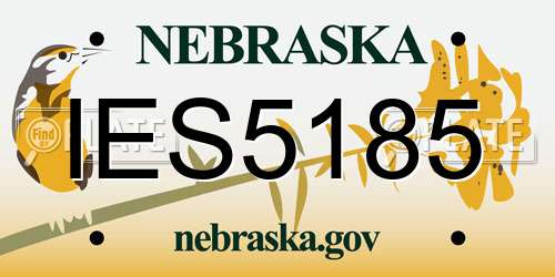 IES5185 Nebraska License Plate