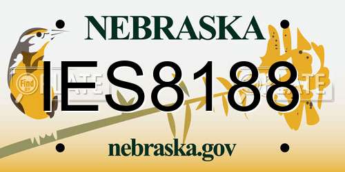 IES8188 Nebraska License Plate