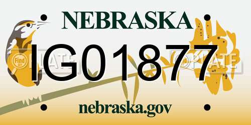 IG01877 Nebraska License Plate