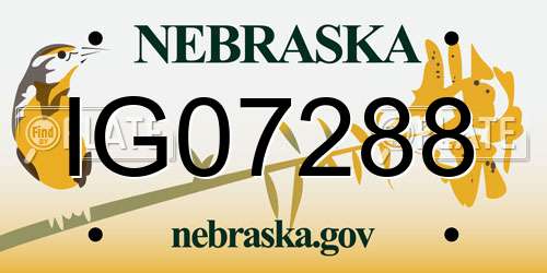 IG07288 Nebraska License Plate