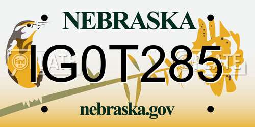 IG0T285 Nebraska License Plate