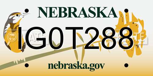 IG0T288 Nebraska License Plate