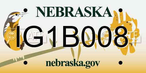 IG1B008 Nebraska License Plate