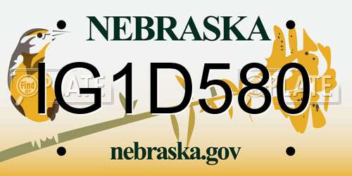 IG1D580 Nebraska License Plate