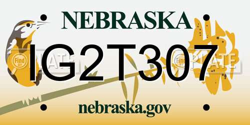 IG2T307 Nebraska License Plate