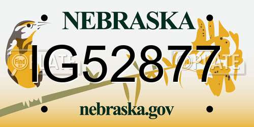 IG52877 Nebraska License Plate