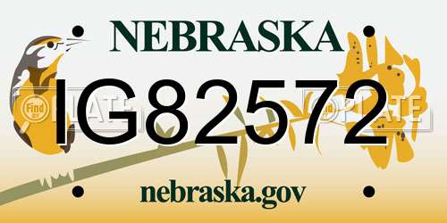 IG82572 Nebraska License Plate