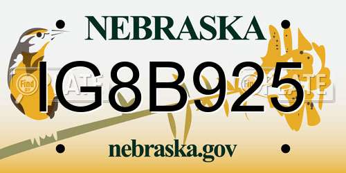 IG8B925 Nebraska License Plate