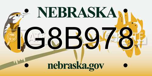 IG8B978 Nebraska License Plate