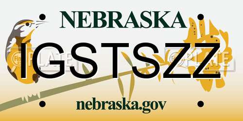 IGSTSZZ Nebraska License Plate