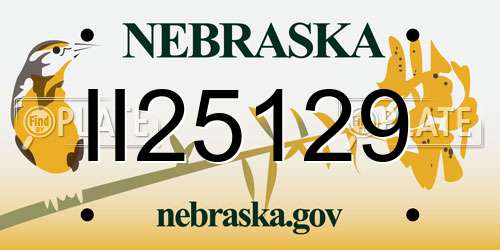 II25129 Nebraska License Plate